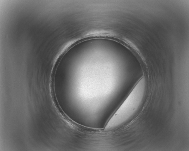 X0000056351277200508260910