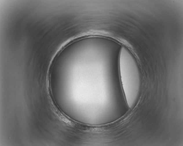 X0000056351280200508260910