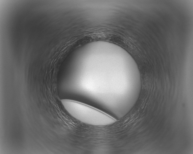 X0000056351297200508260909