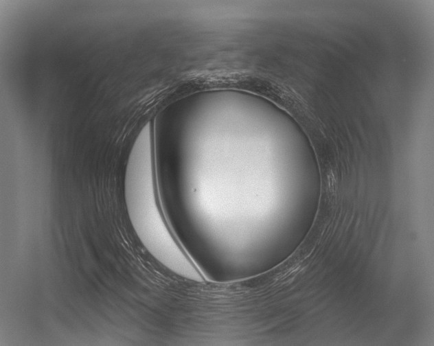 X0000056351300200508260909