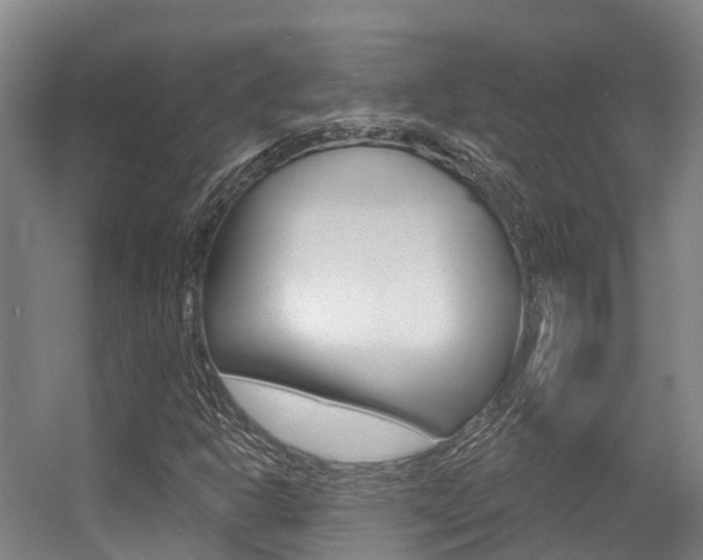 X0000056351302200508260909