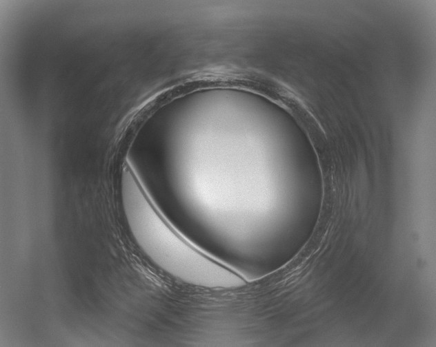 X0000056351304200508260909