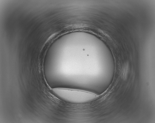 X0000056351306200508260909