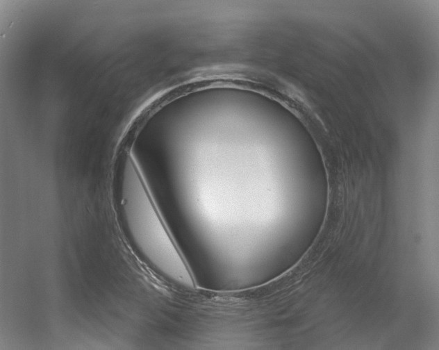X0000056351312200508260909