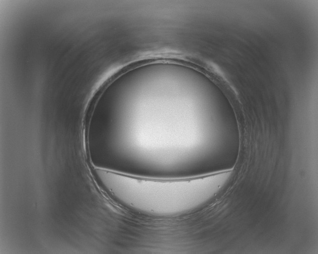 X0000056351320200508260909