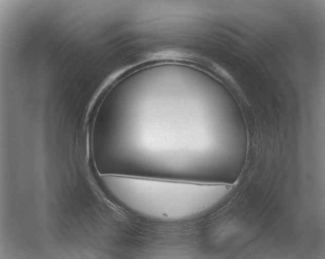 X0000056351323200508260910