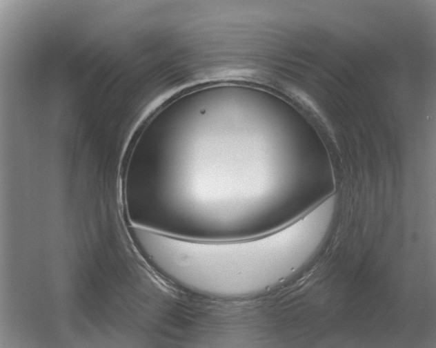 X0000056351324200508260910