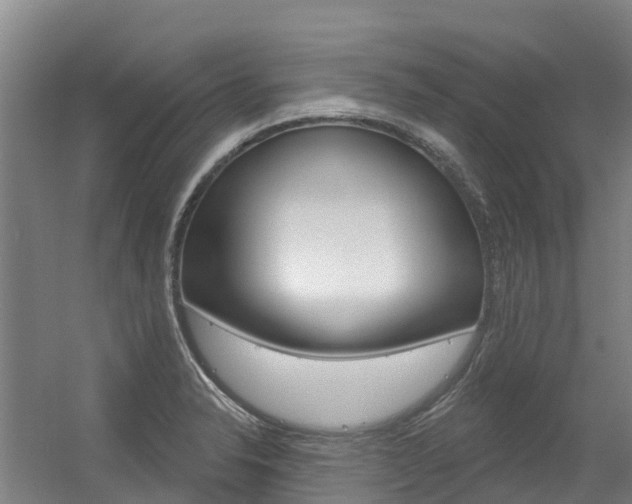 X0000056351326200508260910