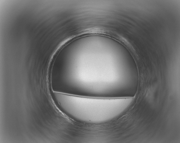 X0000056351331200508260910