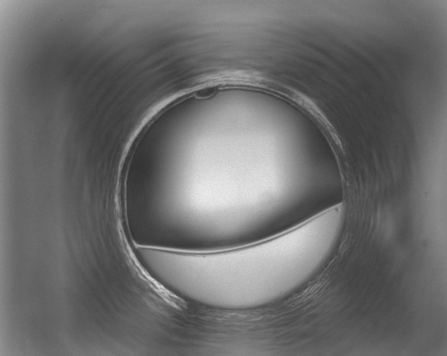 X0000056351339200508260910