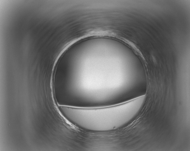 X0000056351343200508260910
