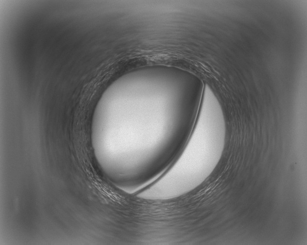 X0000056351345200508260909