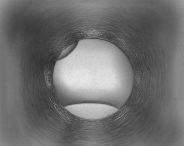X0000056351346200508260909