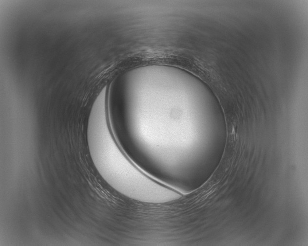 X0000056351348200508260909