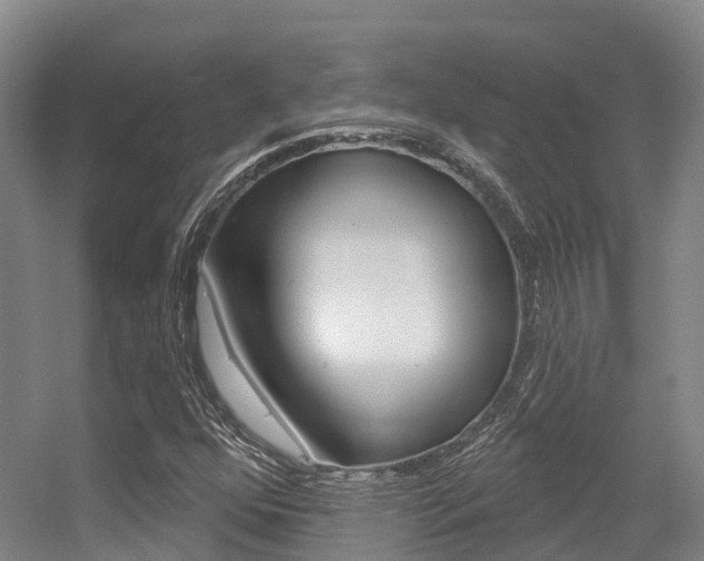 X0000056351352200508260909