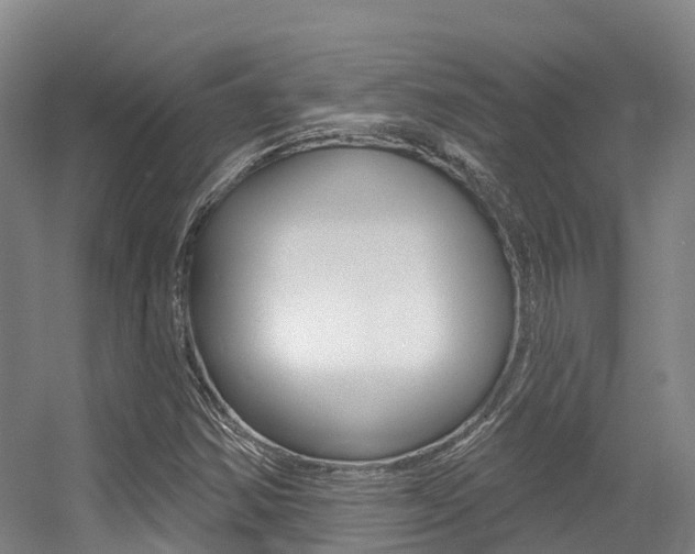 X0000056351354200508260909