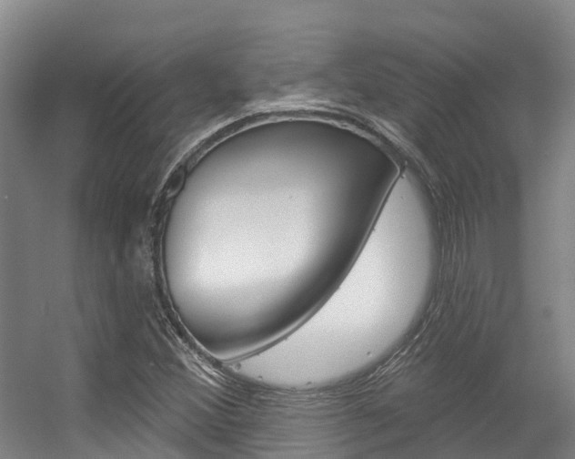 X0000056351356200508260909