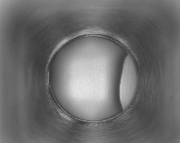 X0000056351366200508260909