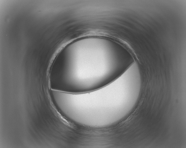 X0000056351371200508260909