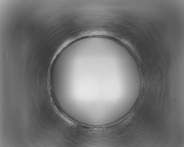 X0000056351374200508260909