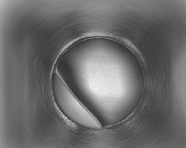 X0000056351380200508260908