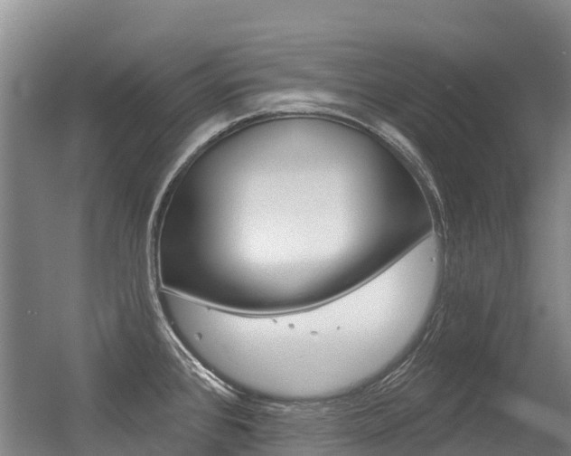X0000056351384200508260908