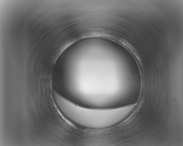 X0000056351385200508260908