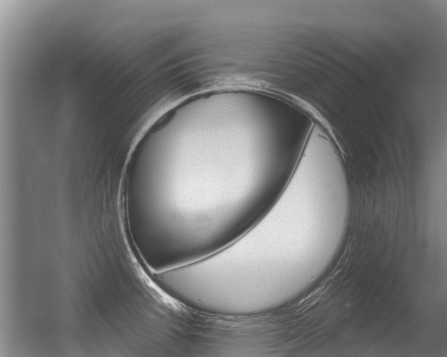 X0000056351387200508260908