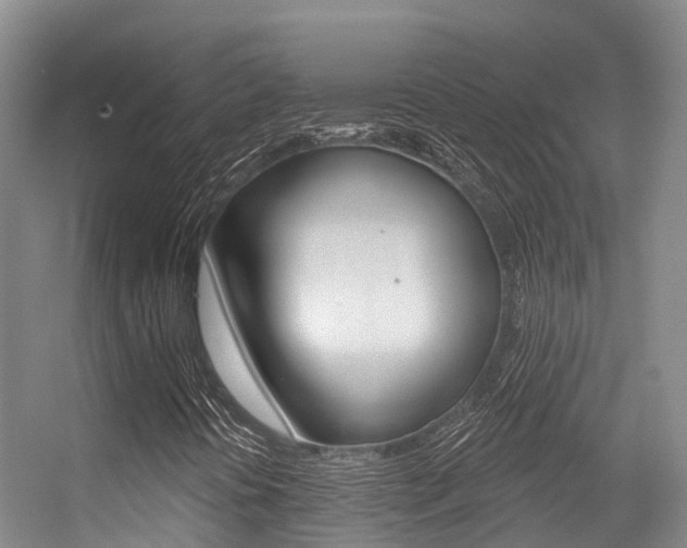 X0000056351394200508260907