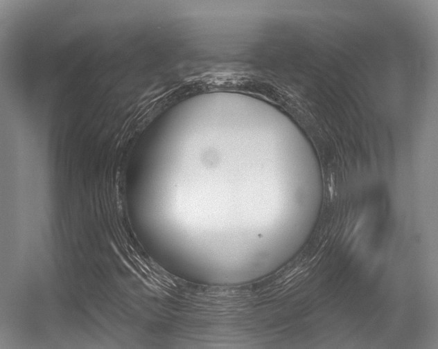 X0000056351396200508260908