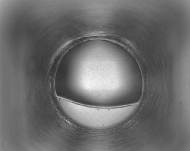 X0000056351406200508260908