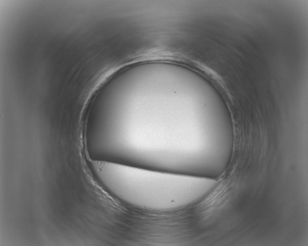 X0000056351415200508260908