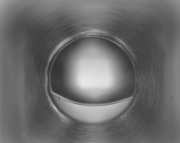 X0000056351418200508260908