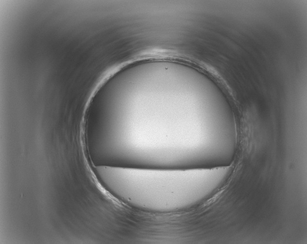 X0000056351421200508260908