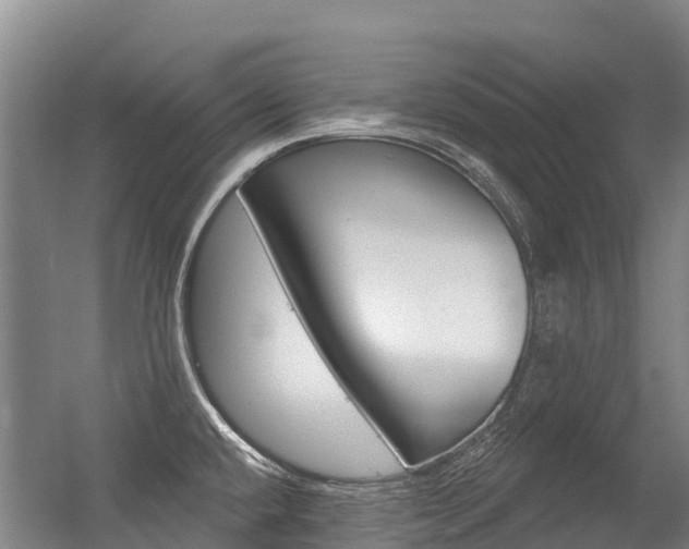 X0000056351432200508260908