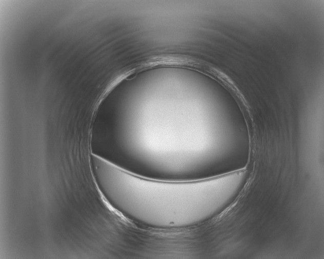X0000056351433200508260908