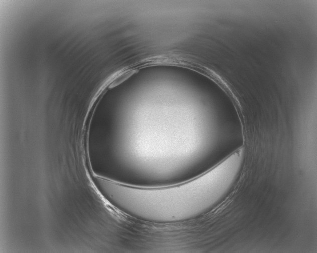 X0000056351434200508260908