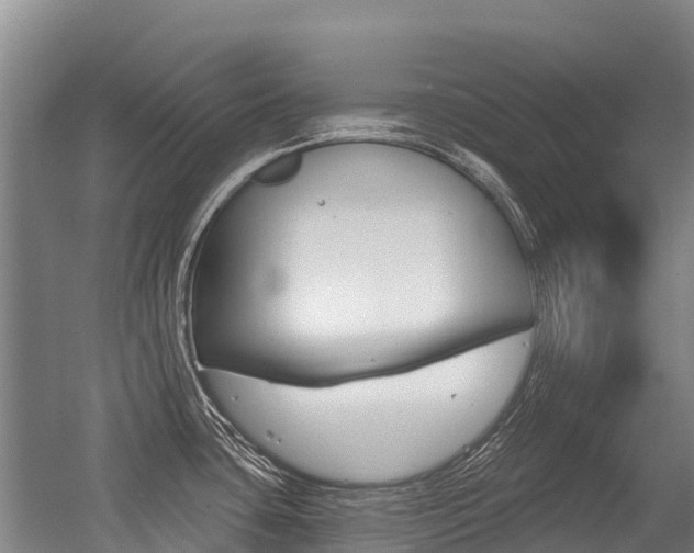 X0000056351435200508260908