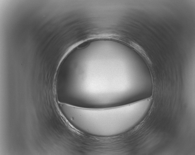 X0000056351436200508260908