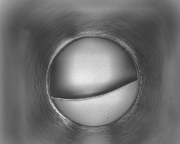 X0000056351440200508260908