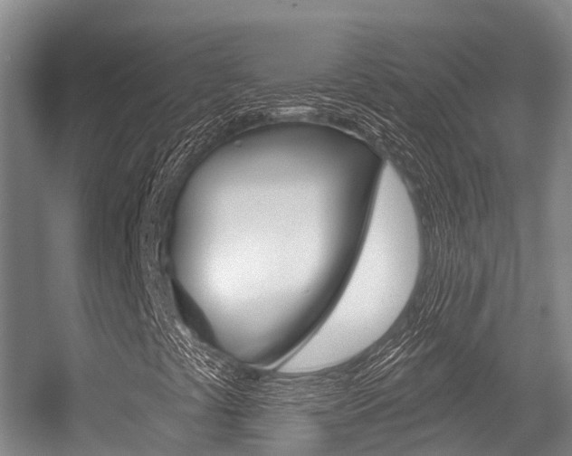 X0000056351441200508260907