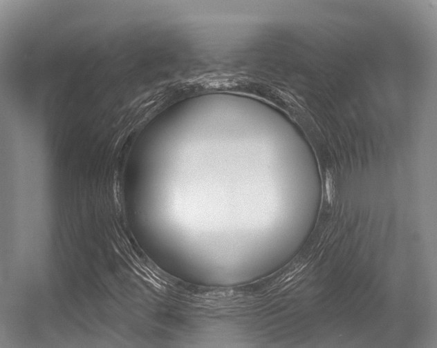 X0000056351444200508260907