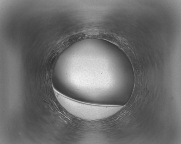 X0000056351445200508260907