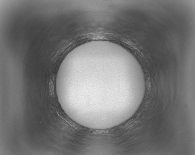 X0000056351446200508260907