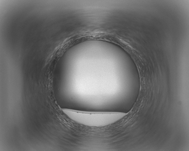 X0000056351447200508260907