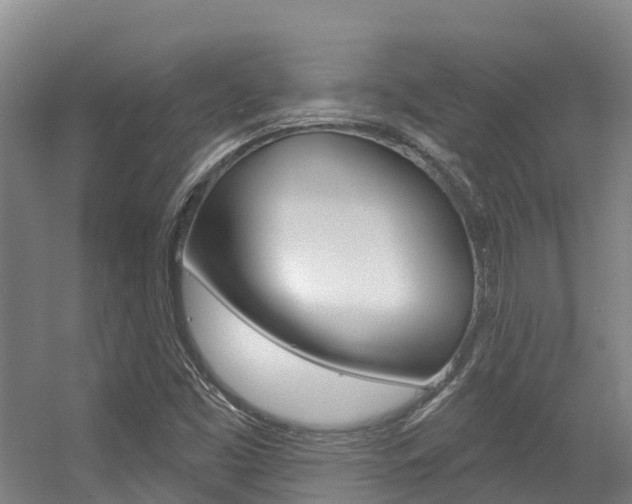 X0000056351453200508260907