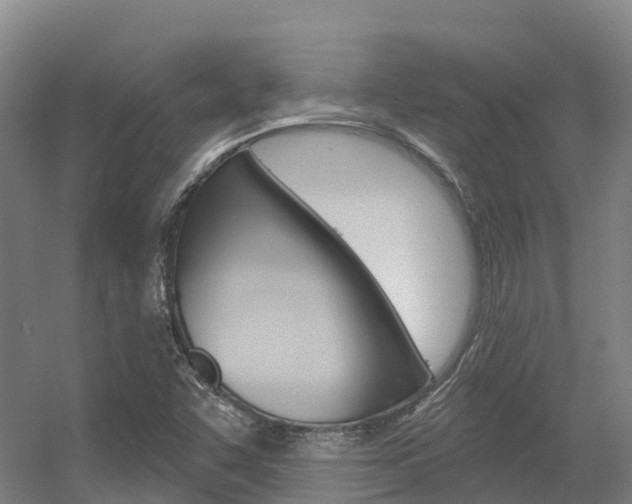 X0000056351455200508260907