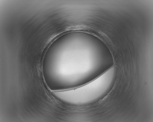 X0000056351457200508260907
