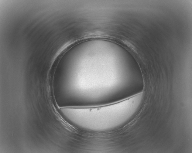 X0000056351458200508260907