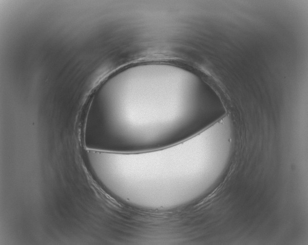 X0000056351459200508260907